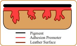 Adhesion Promoter (creases)