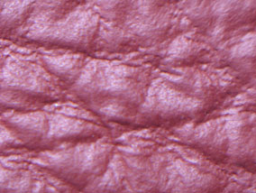 Pigmented Leather