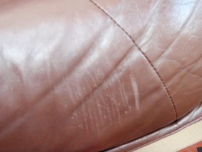 How to Repair Cat Scratches on Leather | UK Tutorials